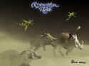 Neverwinter Nights