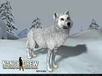 Nancy Drew: The White Wolf Of Icicle Creek